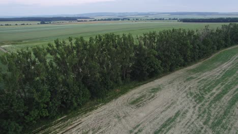 imágenes aéreas de drones de 4k que se deslizan sobre el bosque caducifolio y sobre los campos agrícolas hacia un campo durante el verano