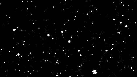 pequeños copos de nieve, nieve real aislada para su inserción en un proyecto de invierno, copos de neve en un fondo negro en 4k