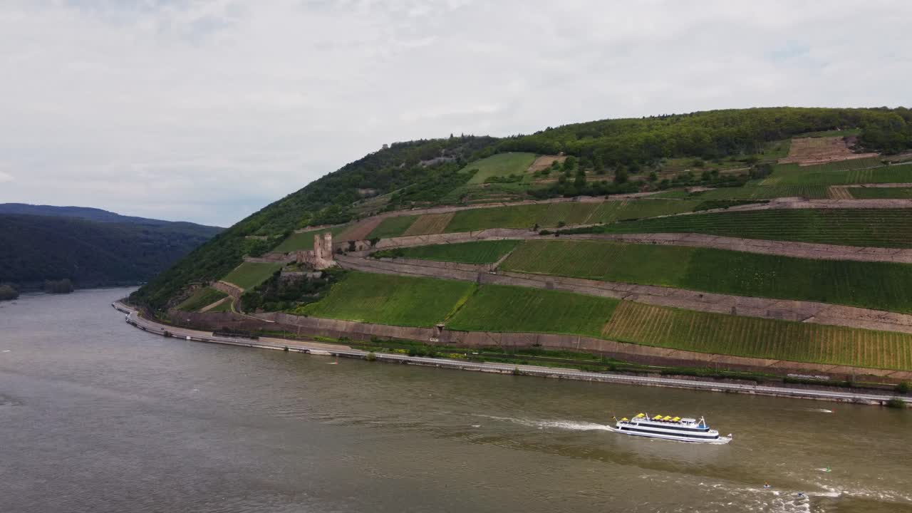 Battello turistico che naviga oltre le rovine di Burg Ehrenfels e i vigneti sul fiume Reno, ampia inquadratura di apertura con drone.