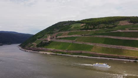 Tour-Boat-Cruising-Past-Burg-Ehrenfels-Ruins-And-Vineyards-on-River-Rhine,-Wide-Establishing-Drone-Shot