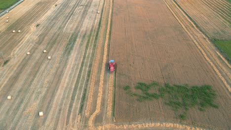 bizon combine harvester reaping wheat for animal feed on polish countryside