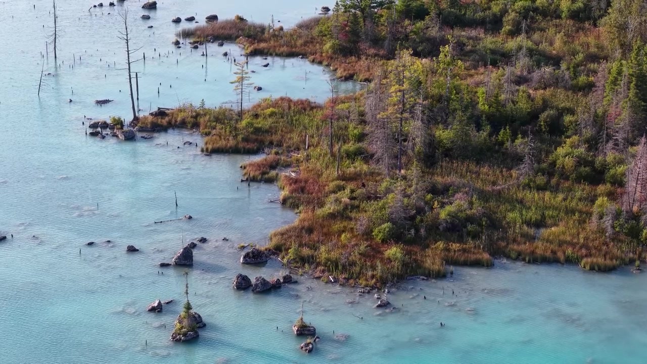 Drone aerial view of a pristine wilderness area near Lake Huron with streams and woodlands.