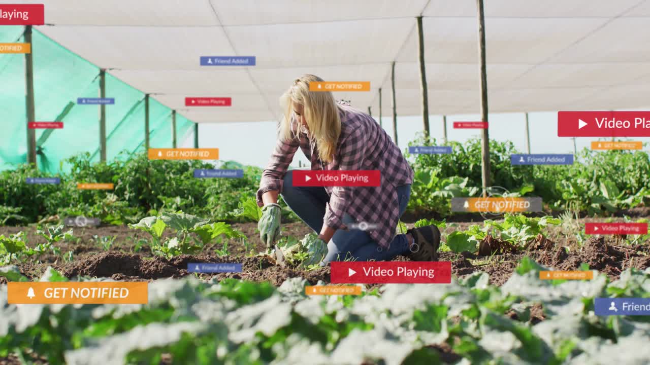 Tuinier knielend, gewassen verzorgend onder een schaduwdoek, met speelbadges die verschijnen en haar kort overlappen.