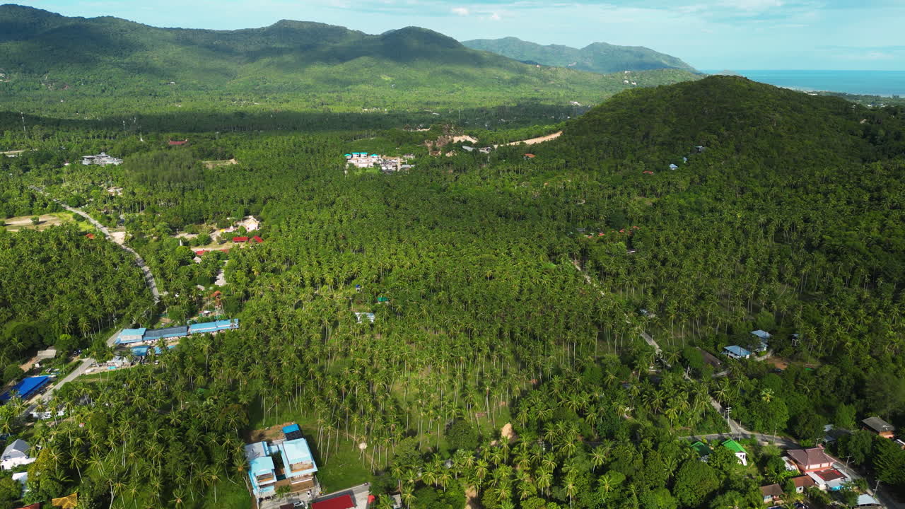 코 타오 녹색 나무 정글, 드론에서 볼 수 있는 열대 목적지