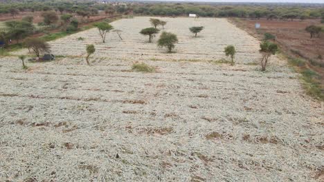 farm-farmland-landscape-rural