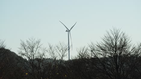 Una-Sola-Turbina-Eólica-Se-Encuentra-Detrás-De-árboles-Sin-Hojas-Bajo-Un-Cielo-Despejado,-Un-Símbolo-De-Energía-Renovable-En-Medio-De-La-Naturaleza.