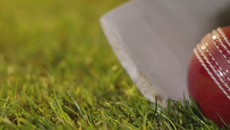 cricket still life with close up of ball and bat lying in grass 1