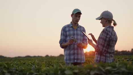 Farmers-Work-In-The-Field-At-Sunset-Debate-Use-A-Tablet