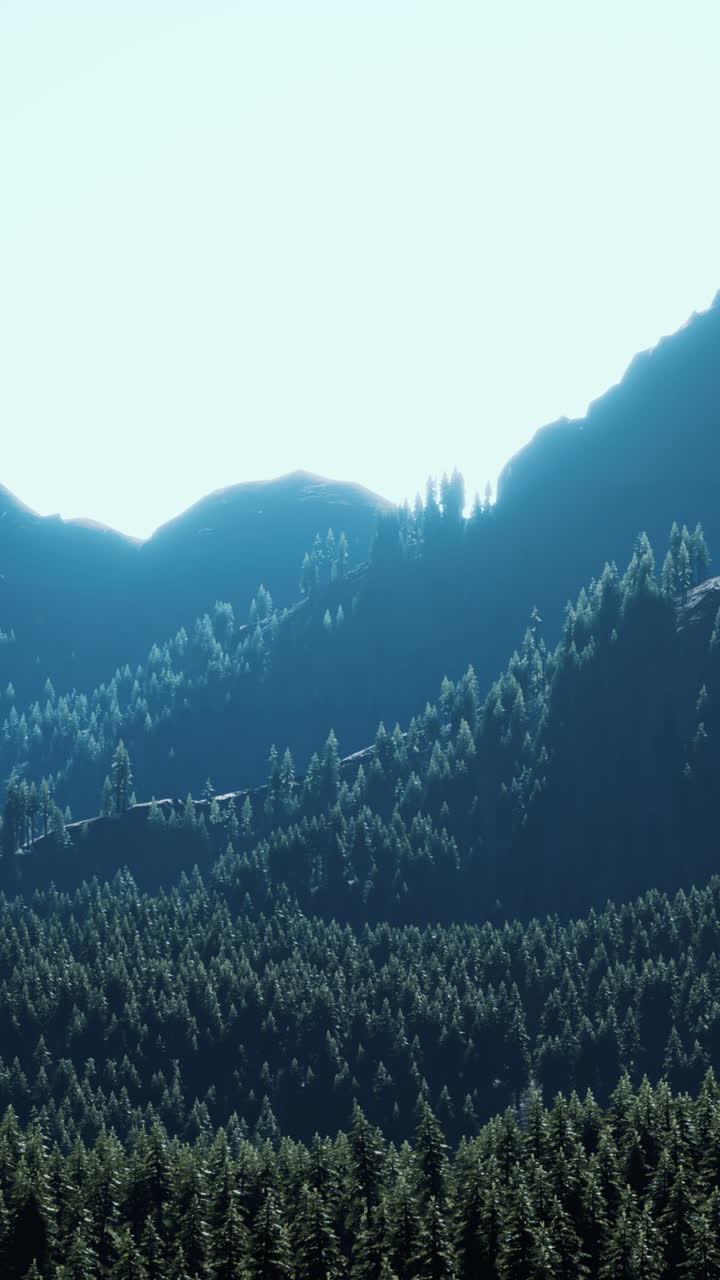 una cordillera cubierta de árboles verdes