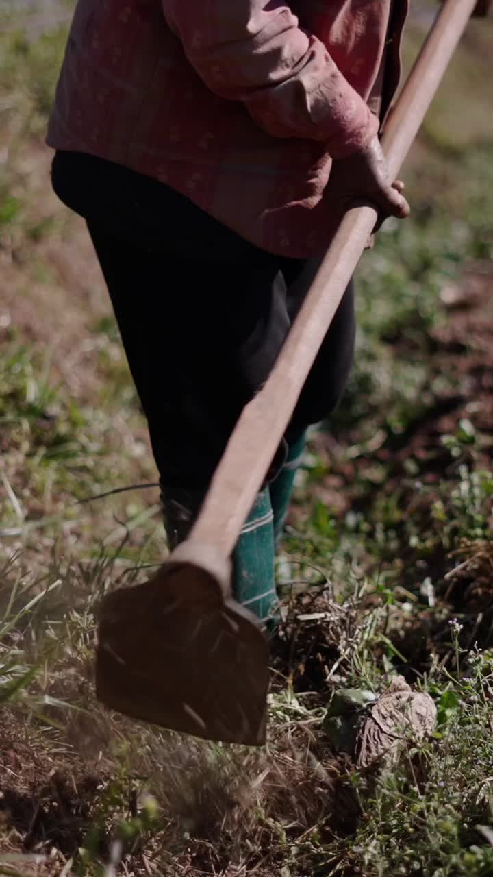 Farmer Tilling Soil with Hoe