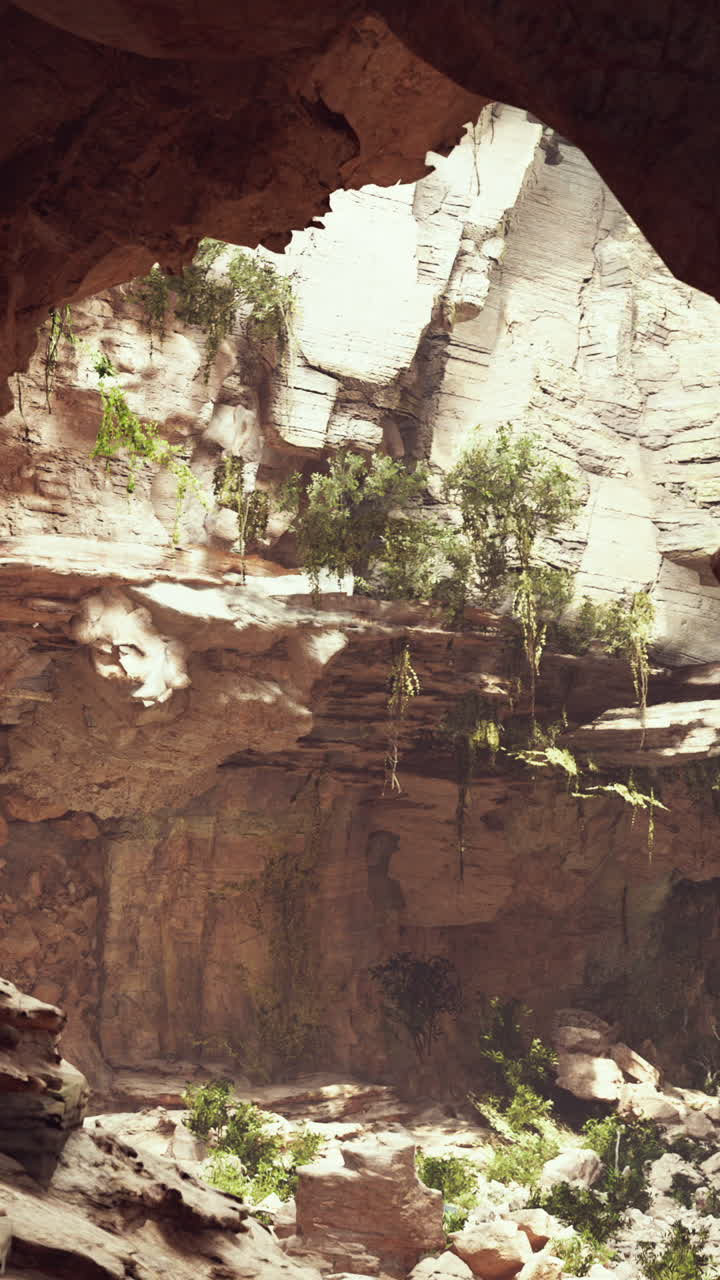 Large fairy rocky cave with green plants