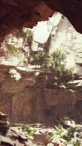 gran cueva rocosa de hadas con plantas verdes
