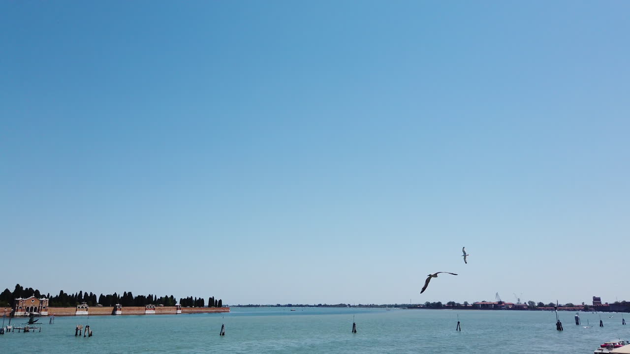 갈매기를 추적하는 보트 섬의 베니스 4k 초당 59,94프레임 5초