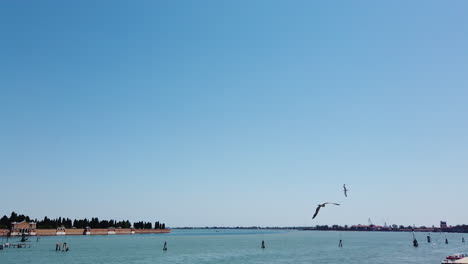 venice from a boat island tracking a seagull 4k 59,94 frames per sec 5 sec