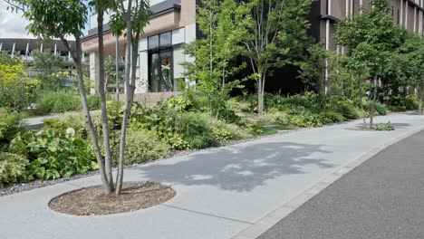 tokyo's sporting heritage: iconic "tokyo 1964" olympic rings, commemorative judo plaque with athlete names, and a peaceful green walkway
