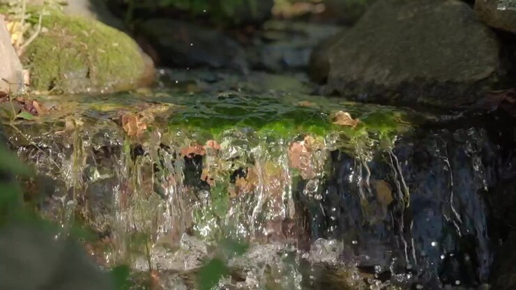 Slow motion brook during the fall.