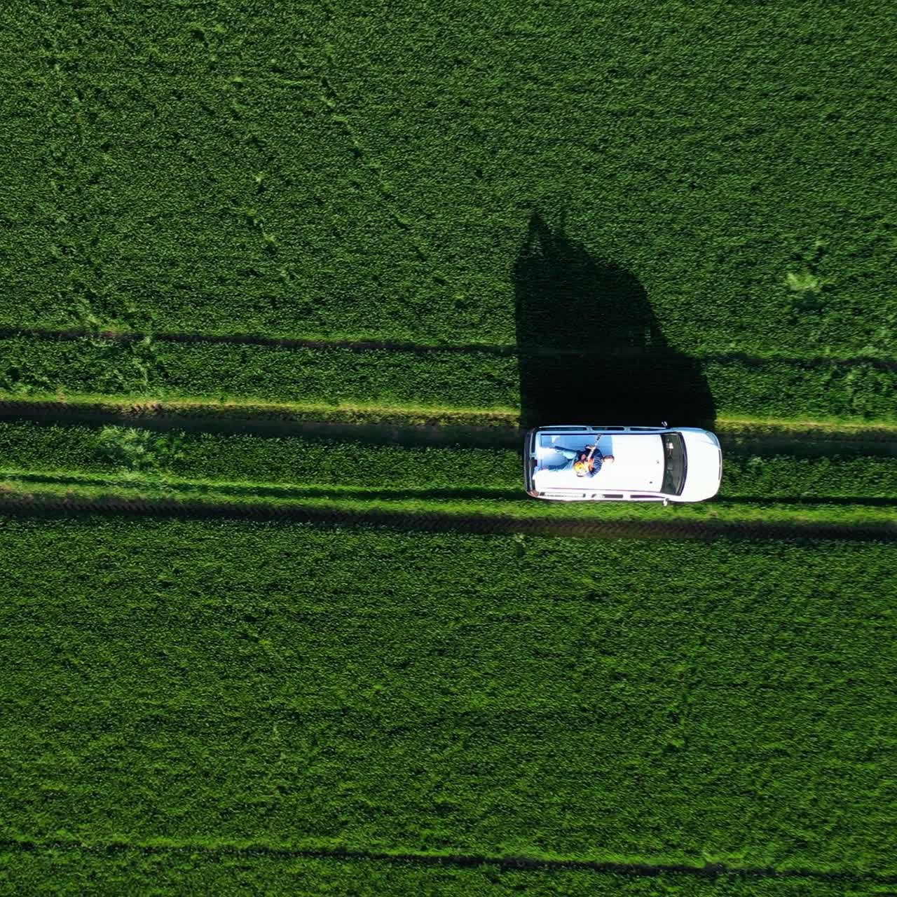 Guitarist playing the guitar on a car. Guy laying on a roof of a white car with a guitar and performs music while automobile driving on field. Top view