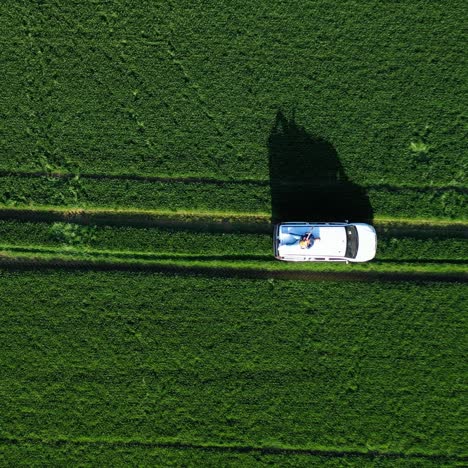 guitarist playing the guitar on a car. guy laying on a roof of a white car with a guitar and performs music while automobile driving on field. top view