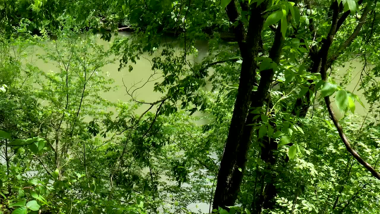 Slow pan on river in springtime