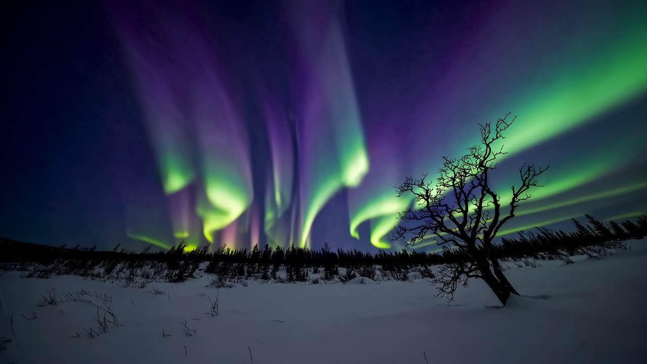 Wide-angle shot of vibrant aurora borealis over snowy landscape, capturing dynamic movement