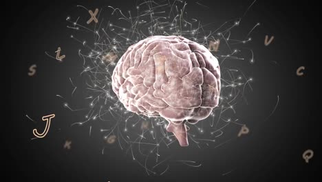 múltiples letras y una red de conexiones contra el cerebro humano girando sobre un fondo negro