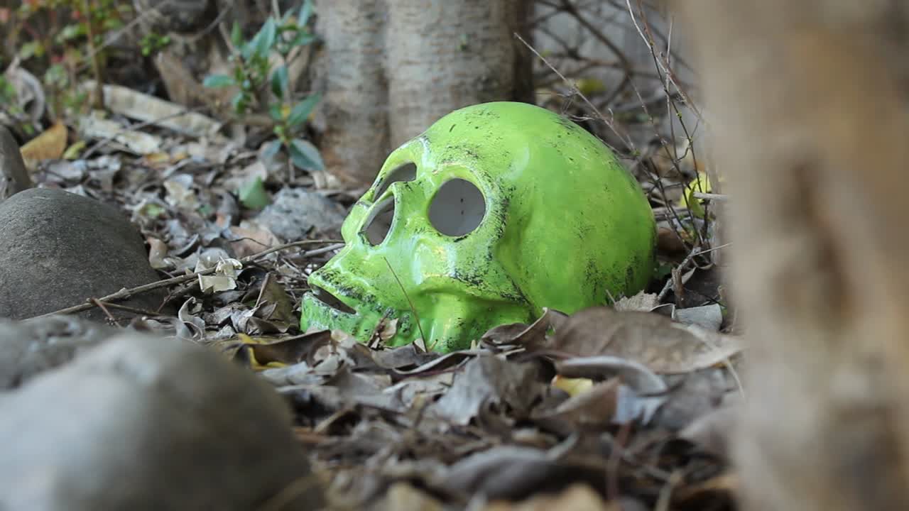 Green Ceramic Skull in Leaves with Leaves Falling From Trees