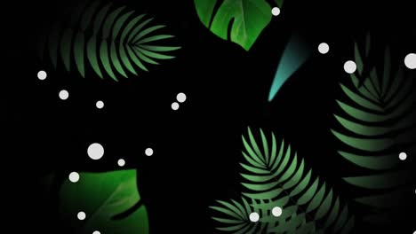 animación de manchas blancas de luz, gotas y hojas verdes, sobre fondo negro