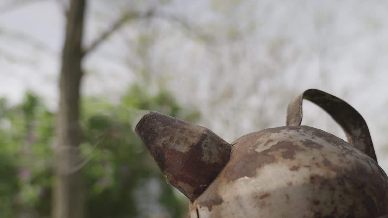 연기가 아오르는 벌 흡연자의 클로즈업