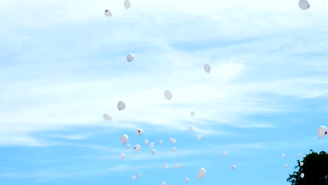 white balloons with red hearts fly to the sky