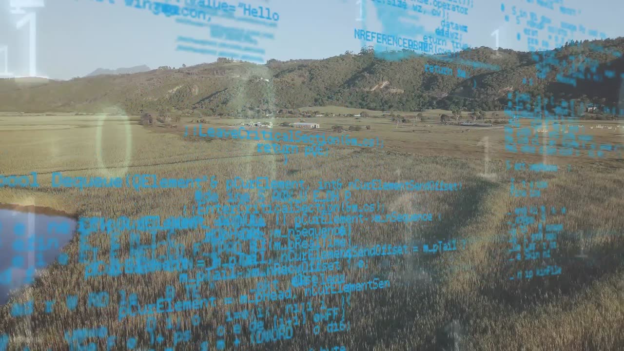 códigos de programa con códigos binarios y un campo