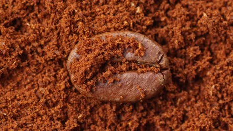 Macro view of a coffee bean resting on ground coffee