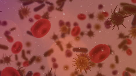 animation of moving cells over red background