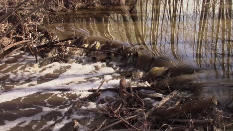 spring run-off over topping a beaver dam - slomo