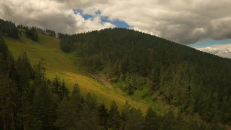 Pinos-De-Hoja-Perenne-De-La-Región-De-Zlatibor,-Vista-Aérea