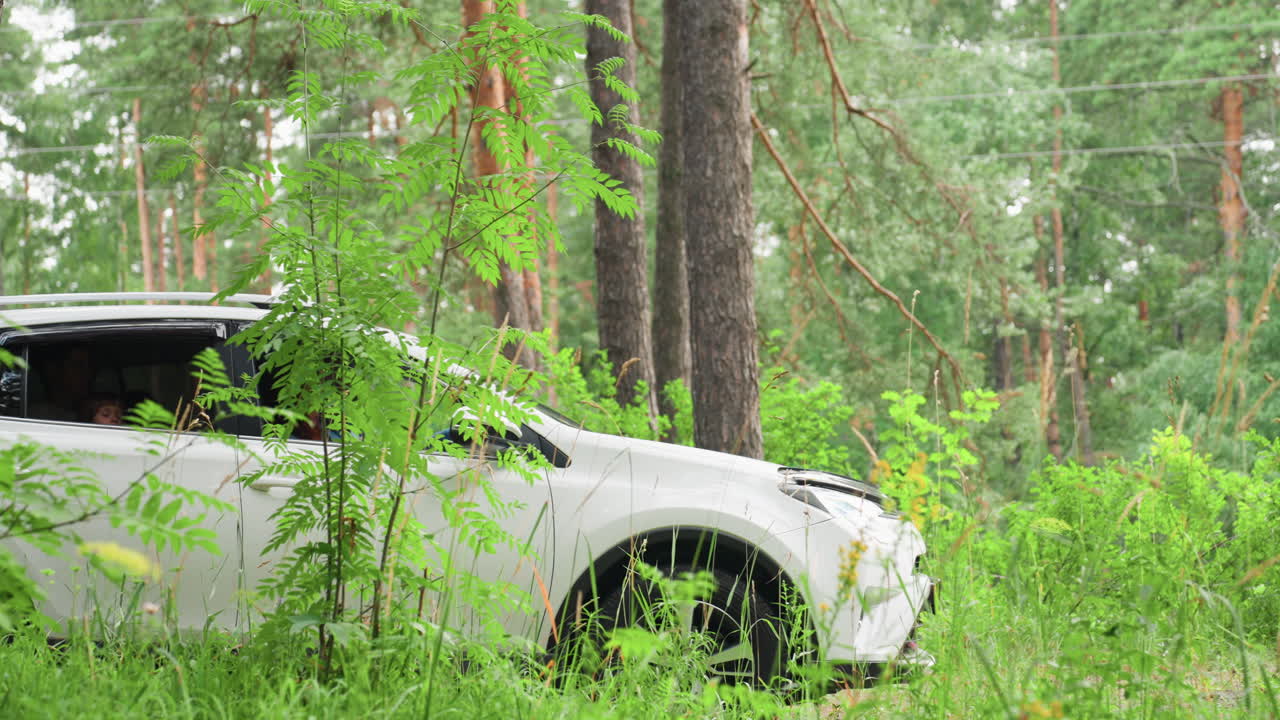White SUV moves slowly through lush forest surrounded by tall trees and vibrant green plants, peaceful drive on narrow trail in summer landscape, sunlight flickering through leaves