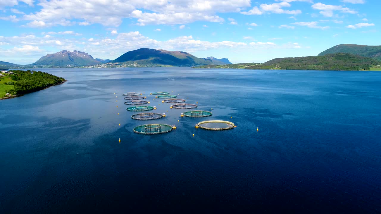 노르웨이에서 연어  ⁇ 시를 하는 공중 촬영