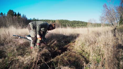 el hombre está excavando tierra y transfiriéndola a la carretilla para su uso en el invernadero - toma estática