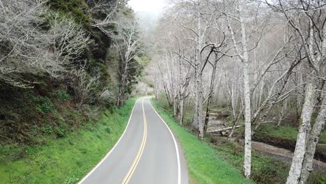 荒涼的森林中風景如畫的道路