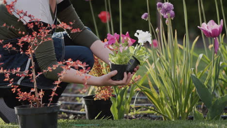 Middle-aged-woman-working-in-her-backyard-in-her-garden