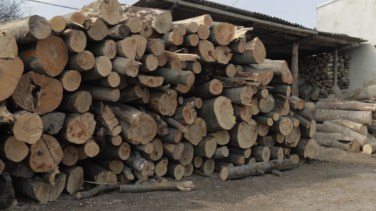 tala de madera. árboles recién cortados troncos de madera apilados almacenamiento de madera para la industria