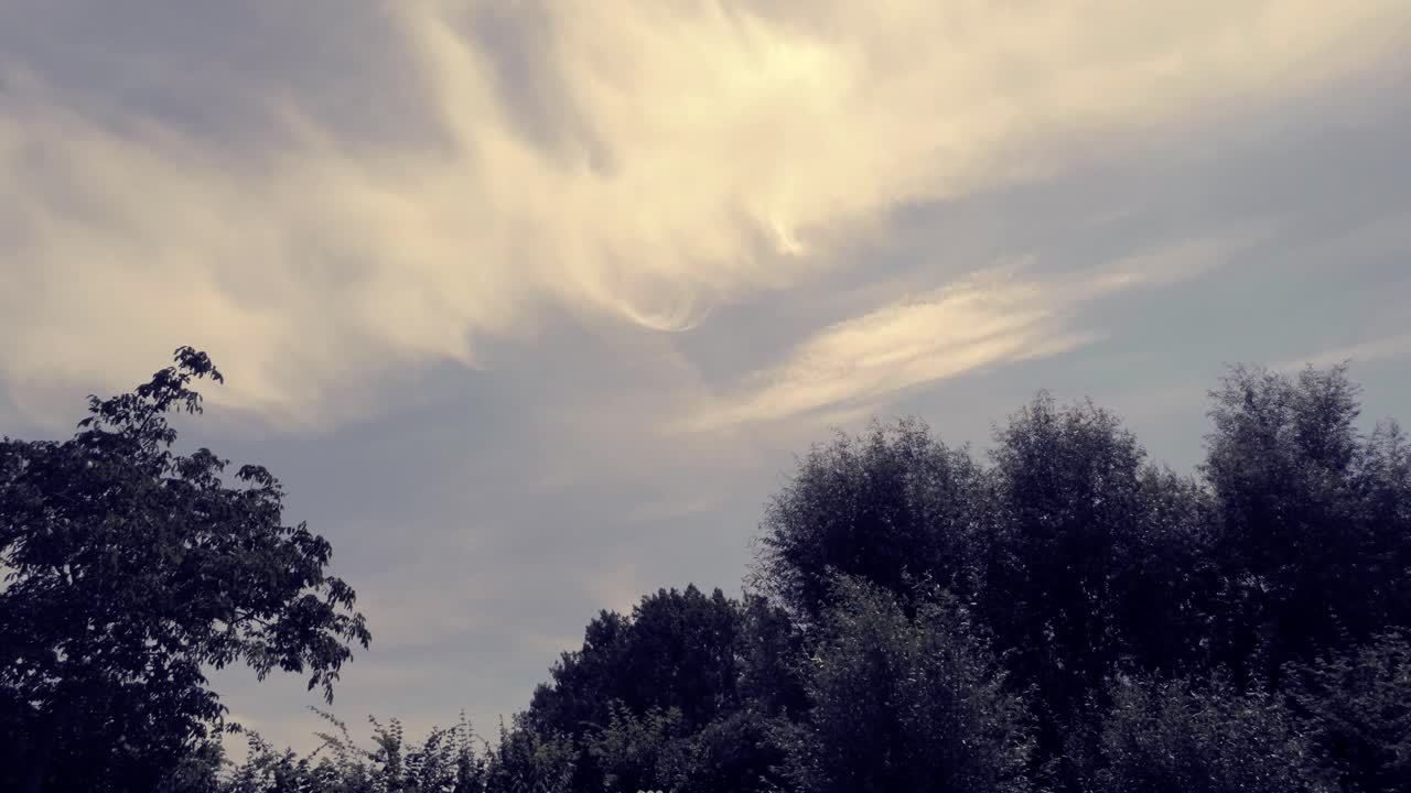 극적인 하늘 아래 정원의 아름다운 하얀 꽃을 향해 낮게 날아가는 - 어두운 색 영상 - 드론 샷