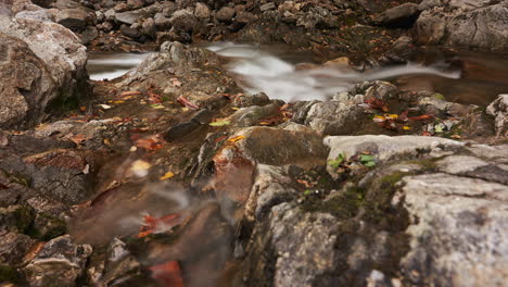 Creek-flowing-along-a-rocky-bed---long-exposure-dreamy-time-lapse