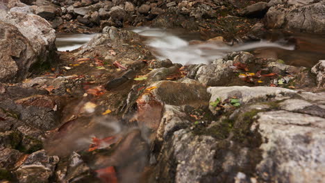 creek flowing along a rocky bed - long exposure dreamy time lapse