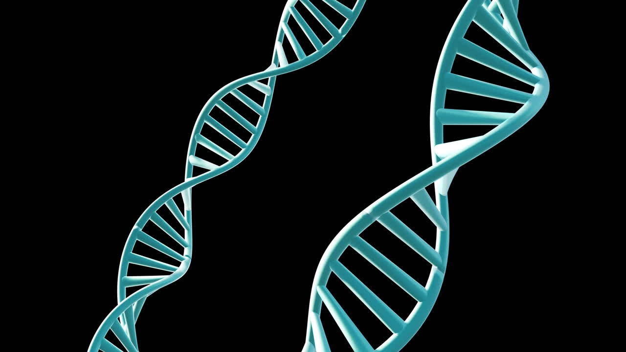 animación de cadenas de adn girando con espacio de copia sobre fondo negro