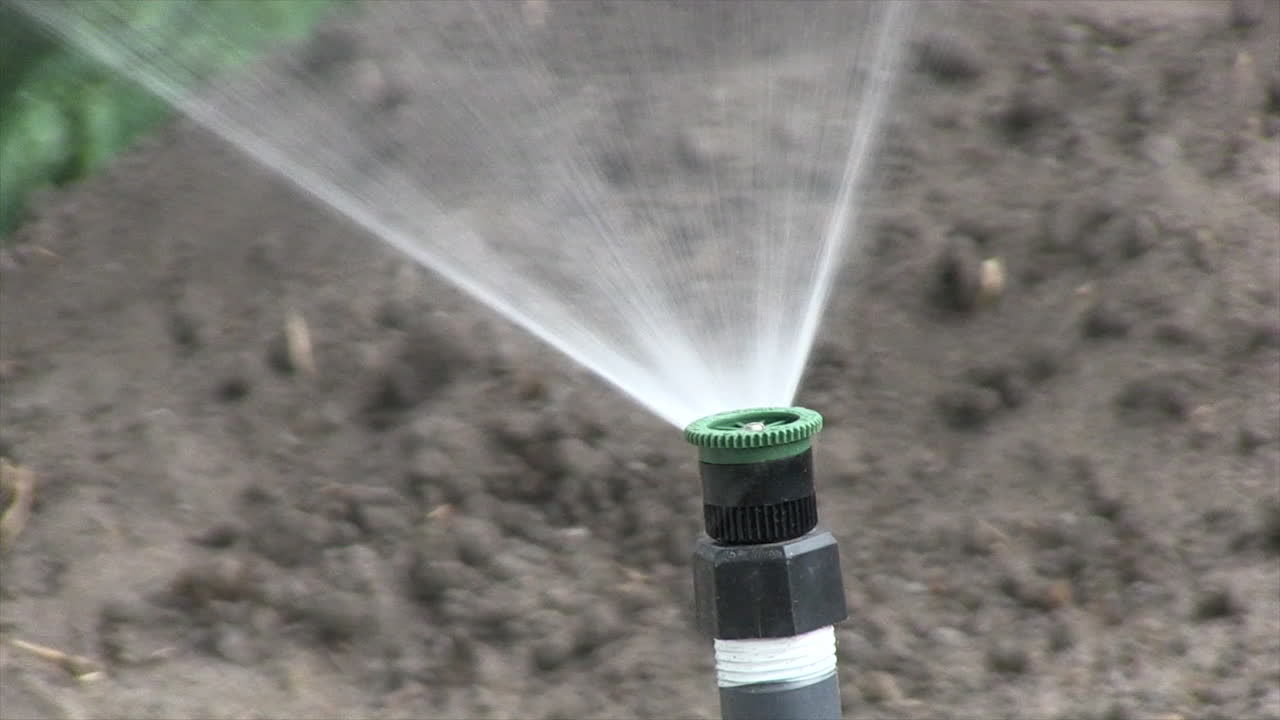 A Sprinkler Spray Riser in a Garden Turning On