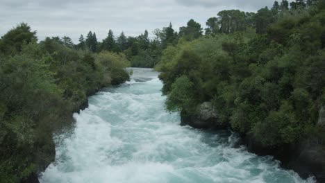 tilting shot of raging river in milford sound