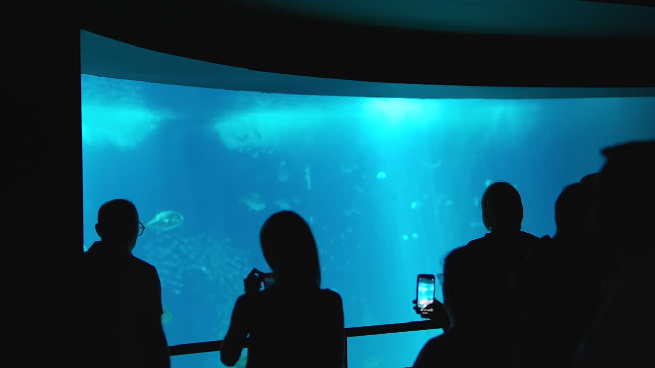 People Silhouetted Against a Large Blue Aquarium Tank