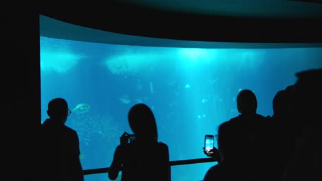 people silhouetted against a large blue aquarium tank