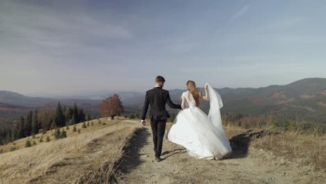 newlyweds. caucasian groom with bride walking on mountain slope. wedding couple