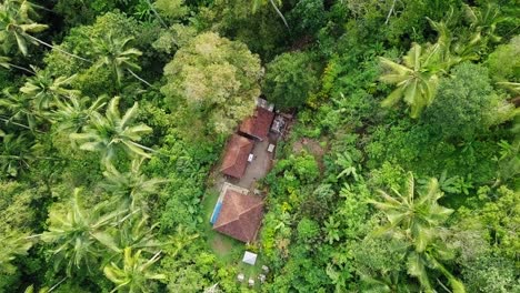 Aerial-View-Of-A-House-In-A-Lush-Palm-Forest